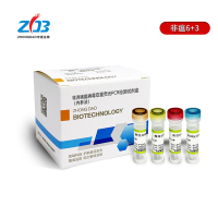P1732非洲猪瘟病毒双重荧光PCR检测试剂盒-内参法