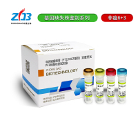 P1733非洲猪瘟病毒-P72lMGF基因双重荧光PCR核酸检测试剂盒2